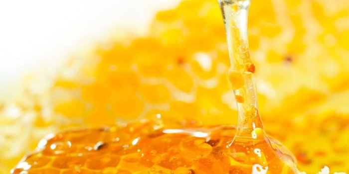 1920x1200 100+] Honey Backgrounds | Wallpapers.com