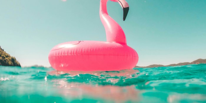 3000x4000 999+ Summer Aesthetic Pictures