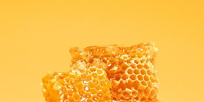 1080x1920 Honey Wallpapers