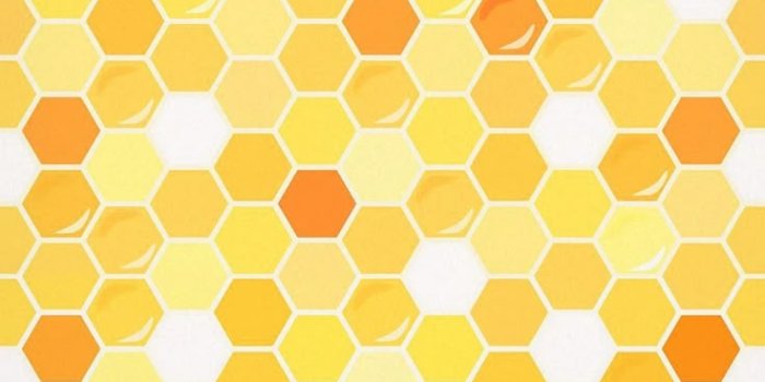 736x1308 Honey Wallpaper