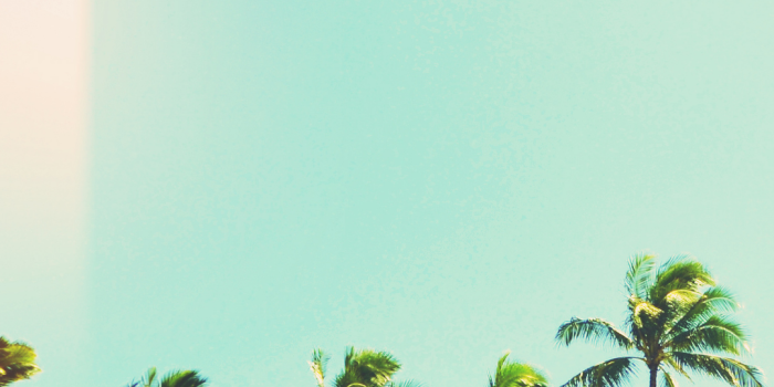 1080x1920 21 Summer Aesthetic Phone Wallpapers