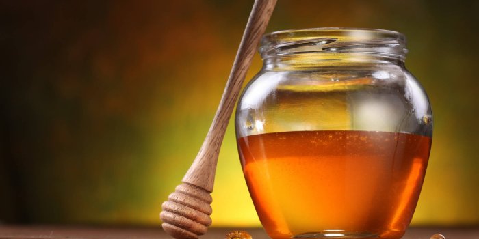 1920x1200 100+] Honey Backgrounds | Wallpapers.com
