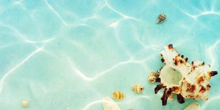 700x1244 ▷ 1001 + ideas for cute wallpapers