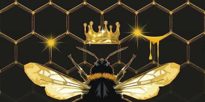 736x1308 Bee Wallpaper - WPTunnel