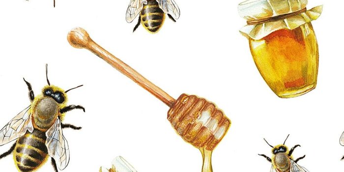 1000x1000 Honey Bee Pattern Wallpaper Wall Mural