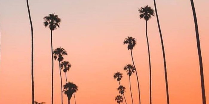 750x1441 Aesthetic Summer Wallpapers - Wallpaper