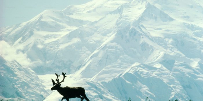 3000x1978 500+ Stunning Alaska Pictures [HD