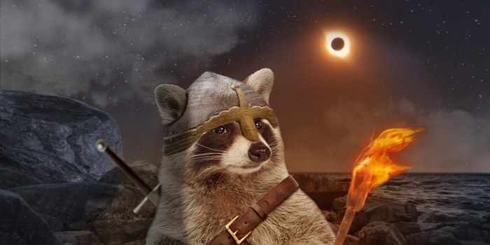 1920x1080 Here are some raccoon Wallpapers I made