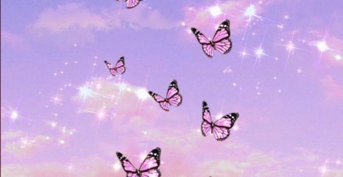 677x1200 WallpaperSun