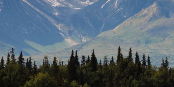 736x1104 Photo by Skitterphoto on Pexels