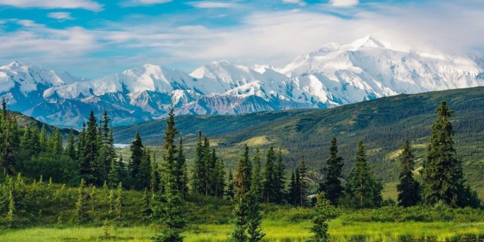 1400x580 Alaska Wildlife Guide | Adventures in