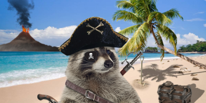 1920x1080 I'm back with a new raccoon wallpaper