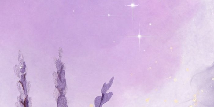 900x1600 wallpaper purple templates