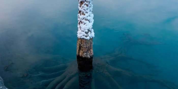 1179x2556 Alaska | Depth Effect - Wallpapers Central