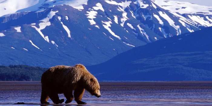 1600x1200 HD Wallpaper of Denali National Park