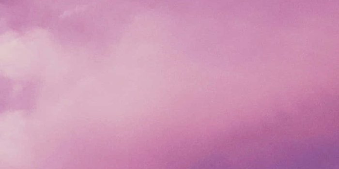 887x1920 purple and pink