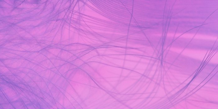 3456x6144 Purple Wallpaper Photos, Download The