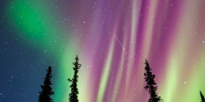 1333x2000 Aurora Borealis Wallpapers (43 images