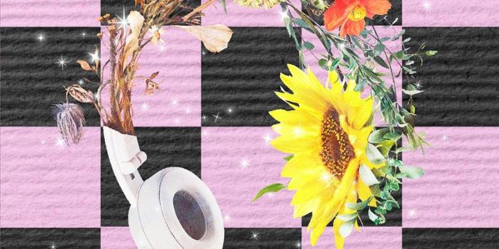 800x1422 Mobile Wallpaper Checker Flower Images