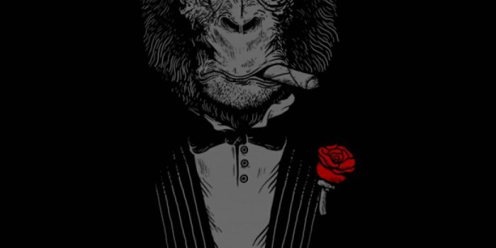 1080x1920 Super Amoled Gangster Monkey Wallpaper