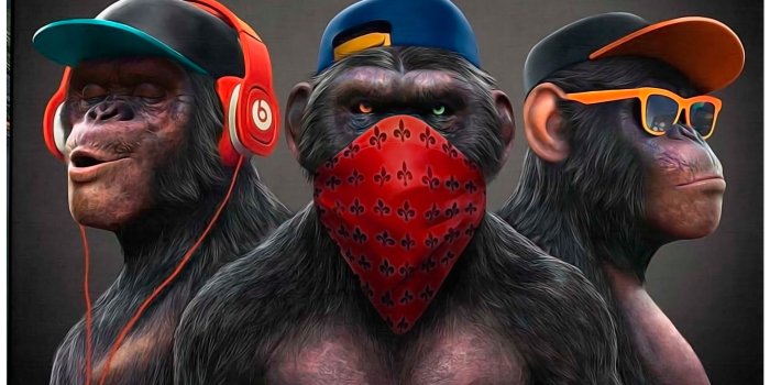 6300x4619 Gangster Monkey Wallpapers