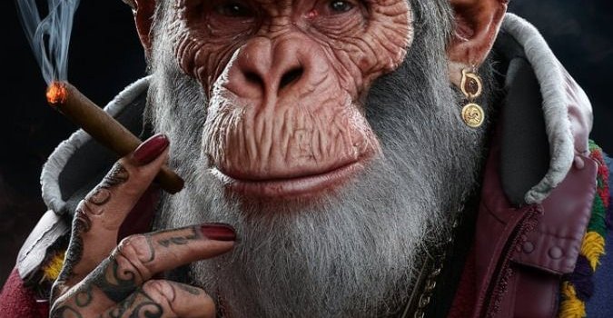 675x1200 sigma monkey