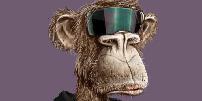 1920x1920 Nft Monkey With Shades Wallpaper