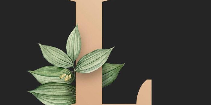 1000x1000 Beige Letter L With Leaves Wallpaper