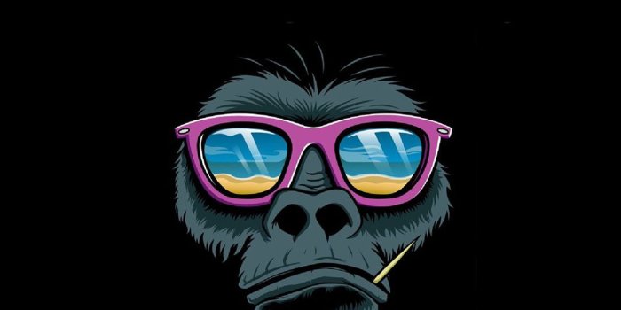 1080x1920 iPhone Monkey Wallpapers