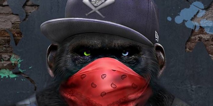 720x1280 Monkey wallpaper by BenjaminBun