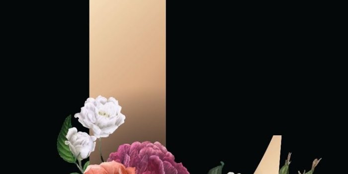 736x1472 Letter L HD Mobile Wallpaper.