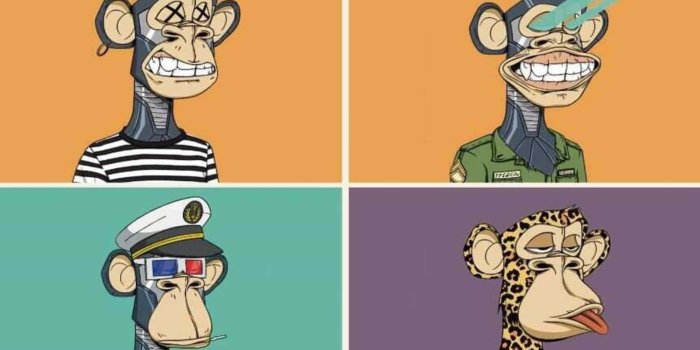 1600x899 Nft Monkey HD Wallpapers (100++