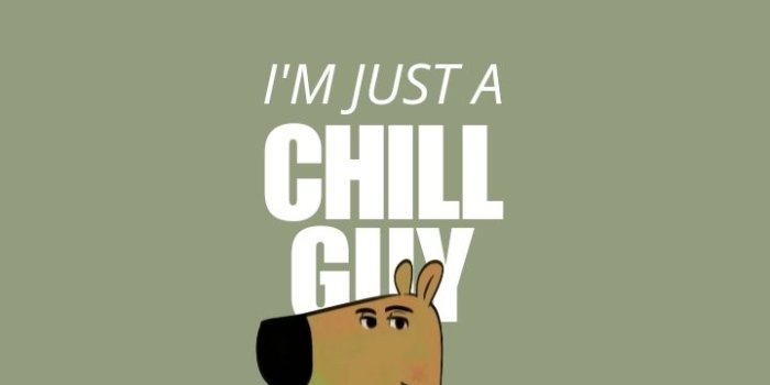 720x1280 Chill Guy Wallpaper