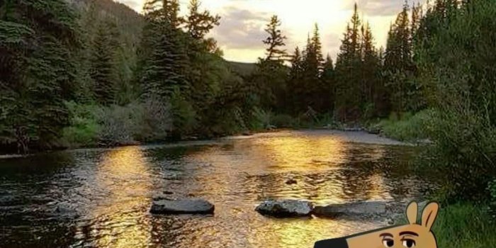 1080x1920 my new character… a chill guy who