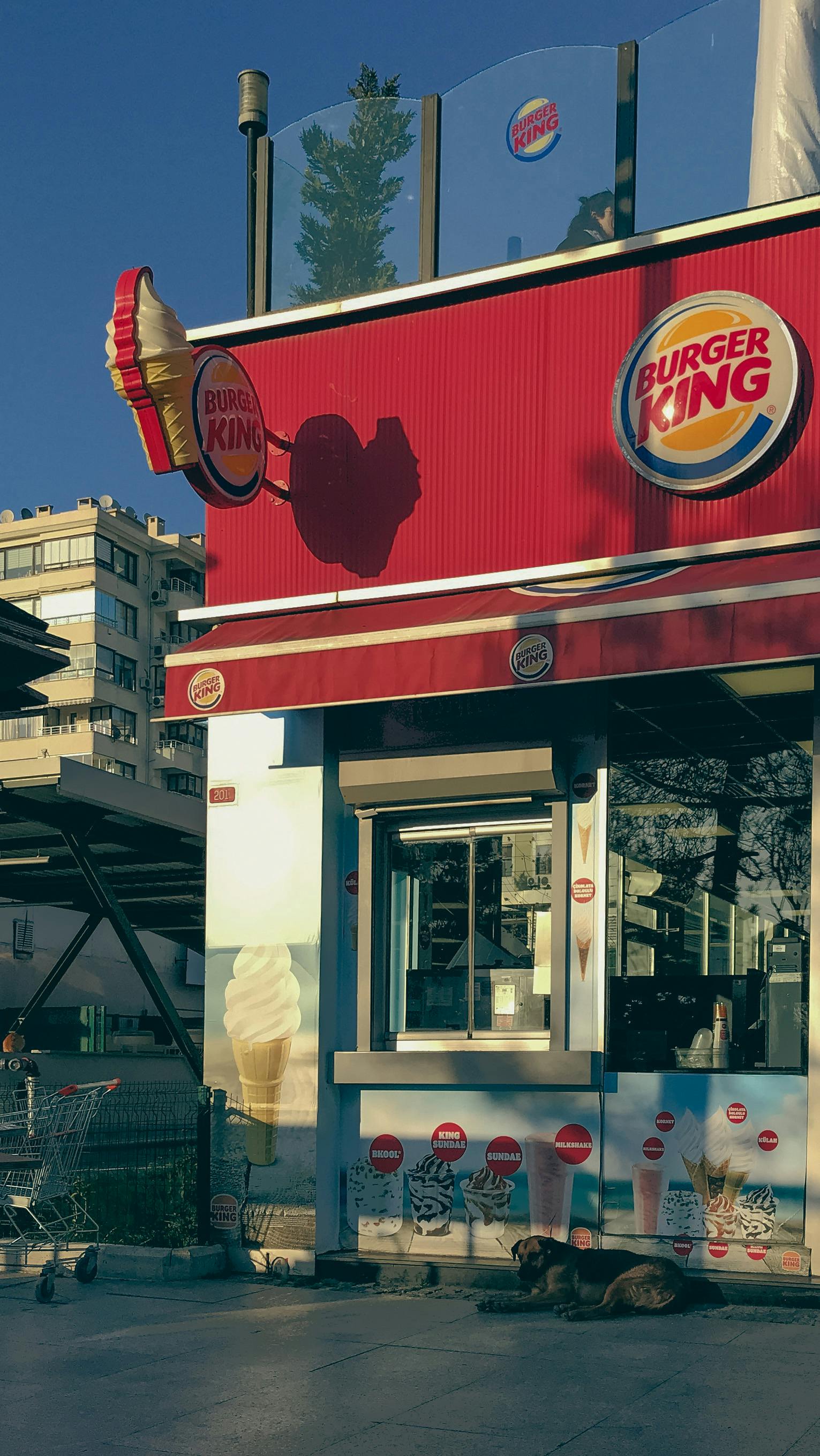 1531x2719 Burger King Photos, Download The BEST