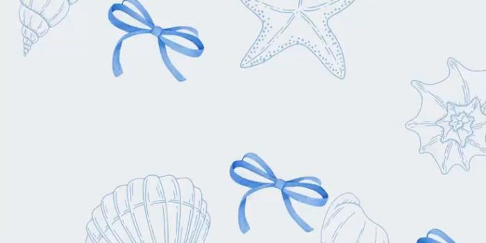 736x1308 coquette blue bow ocean wallpaper for