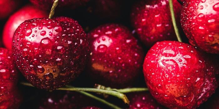 876x1280 Fruit Cherries Organic - Free photo on