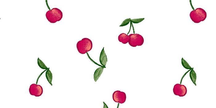 1065x1420 Cherries Removable Vinyl Wallpaper by
