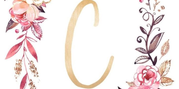 724x1280 Download Monogram C wallpaper by