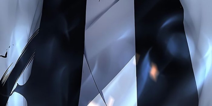 736x1594 Sung Jin-Woo - Solo Leveling mobile