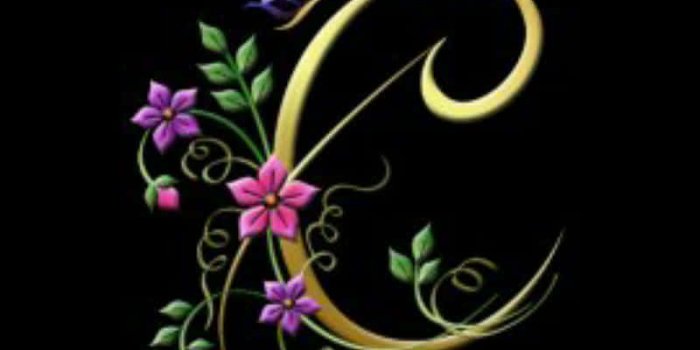 800x1422 Floral Design Wallpaper