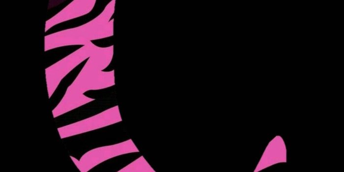 1080x1920 Letter C With Zebra Pattern Wallpaper