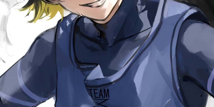 1080x1920 100+] Bachira Wallpapers | Wallpapers.com