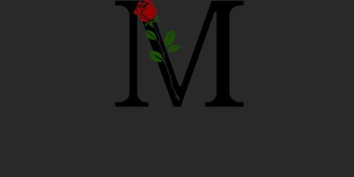 736x1308 M letter images