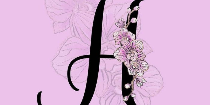 800x1422 Download Letter H Fancy Orchids Wallpaper | Wallpapers.com