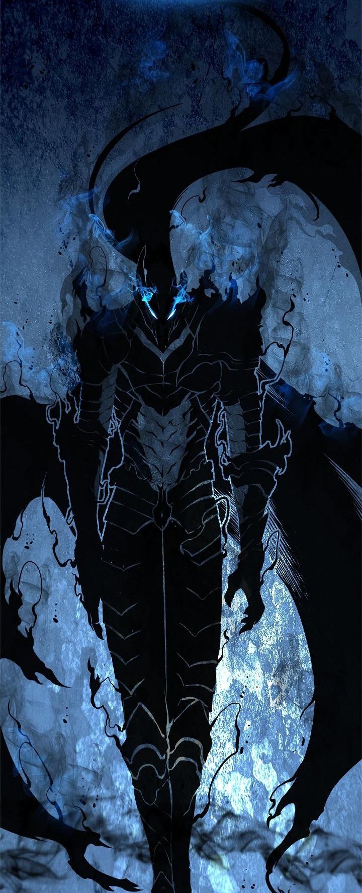 720x1774 Igris Wallpaper