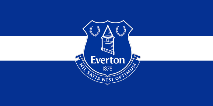 1600x1200 Anybody have any wallpapers with the new crest on Everton