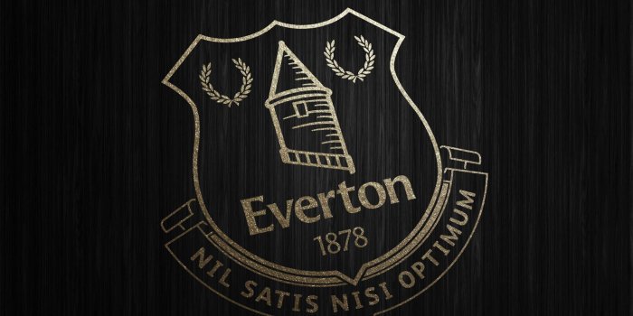 1920x1336 100+] Everton Pictures | Wallpapers.com