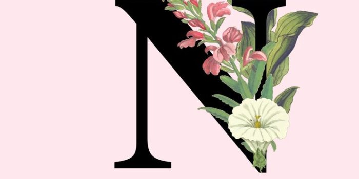 736x1308 Letter N Phone Wallpaper