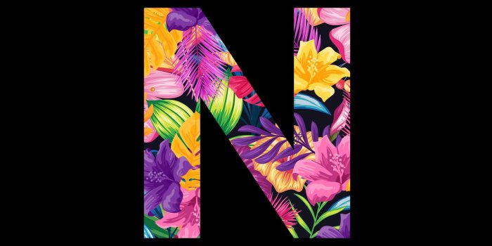 1440x2560 Alphabet N Wallpaper